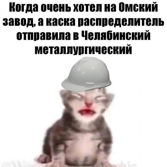 Дичка спелая четверговая