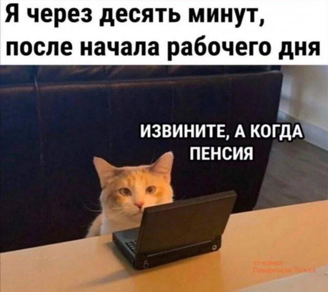 Дичка спелая четверговая