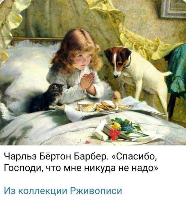 Дичка спелая четверговая