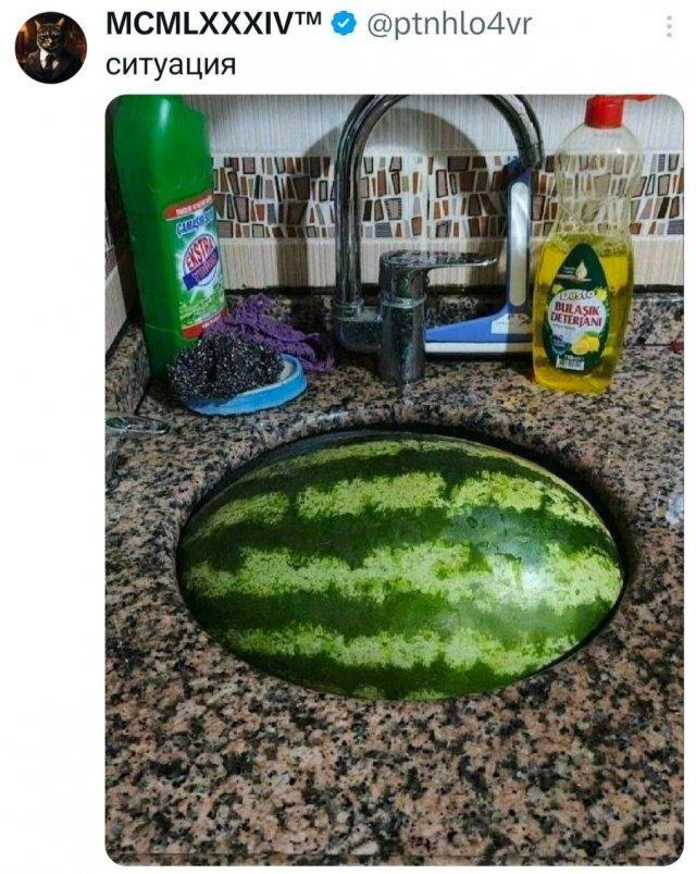 Дичка спелая четверговая