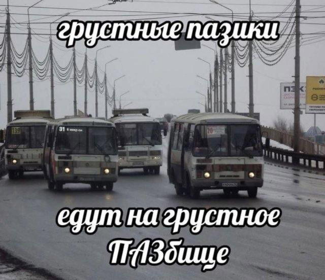 Дичка спелая четверговая