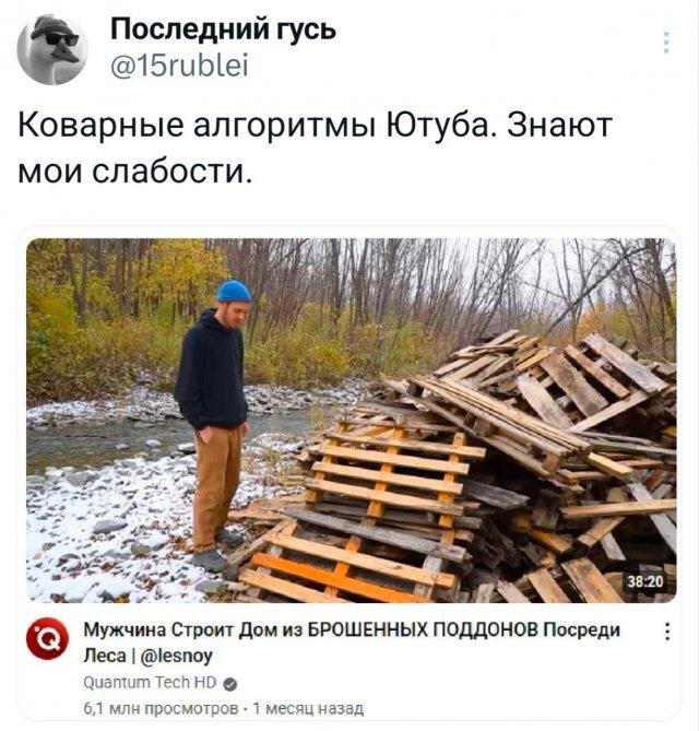 Дичка спелая четверговая