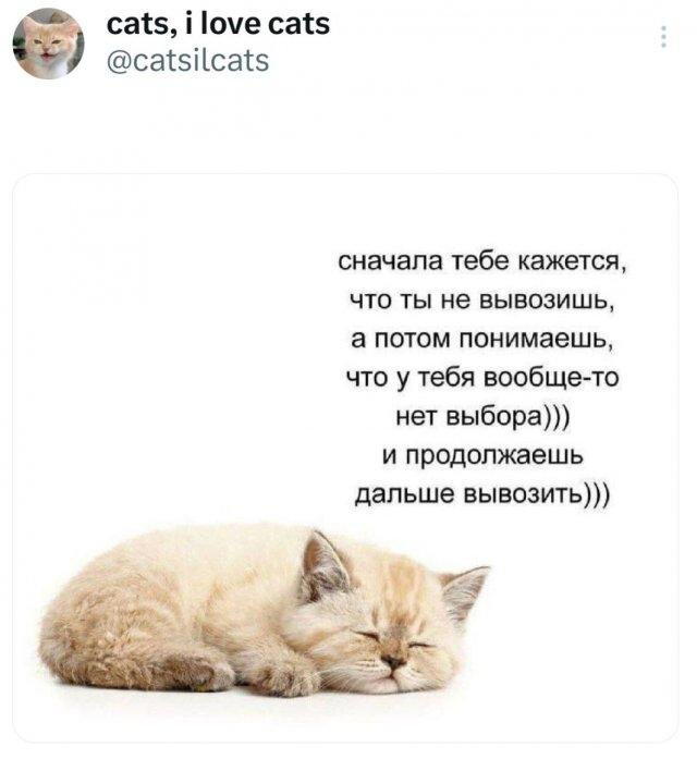 Дичка спелая четверговая