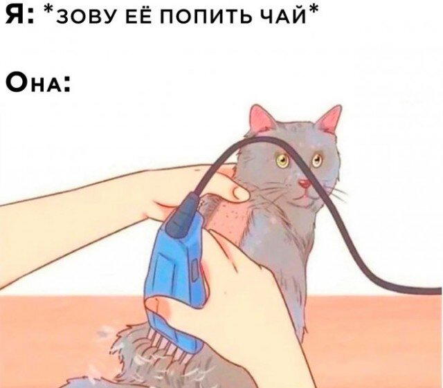 Дичка спелая четверговая