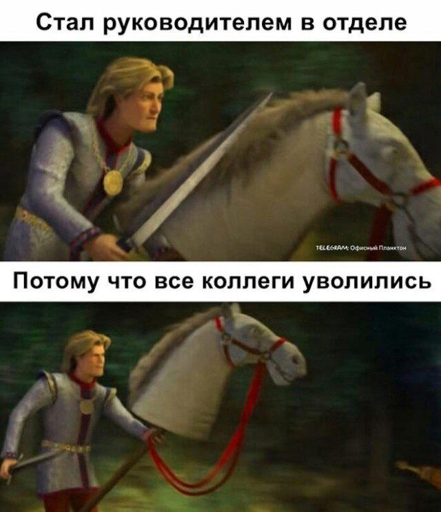 Дичка спелая четверговая