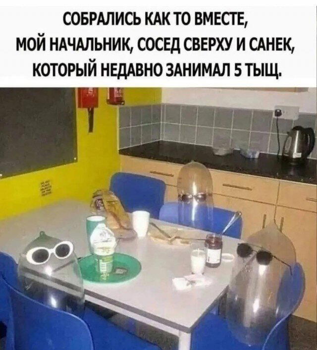 Дичка спелая четверговая