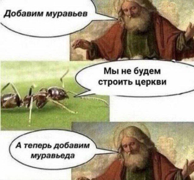 Дичка хоть и шаббат