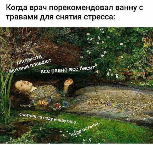 Дичка хоть и шаббат