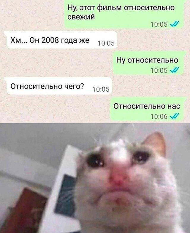 Дичка хоть и шаббат