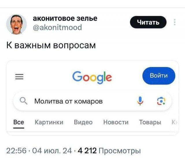 Дичка хоть и шаббат