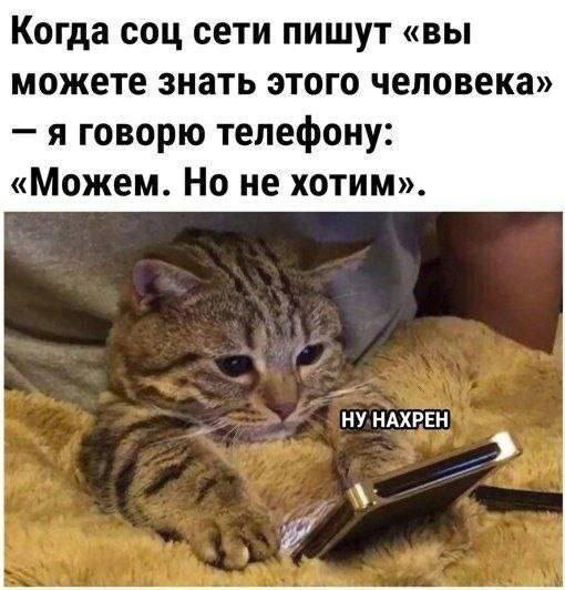 Дичка хоть и шаббат