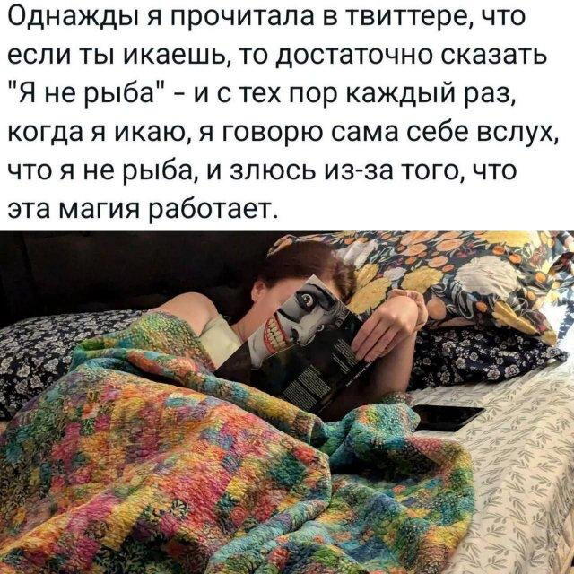 Дичка хоть и шаббат