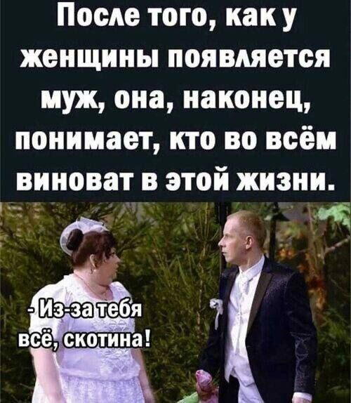 Дичка хоть и шаббат