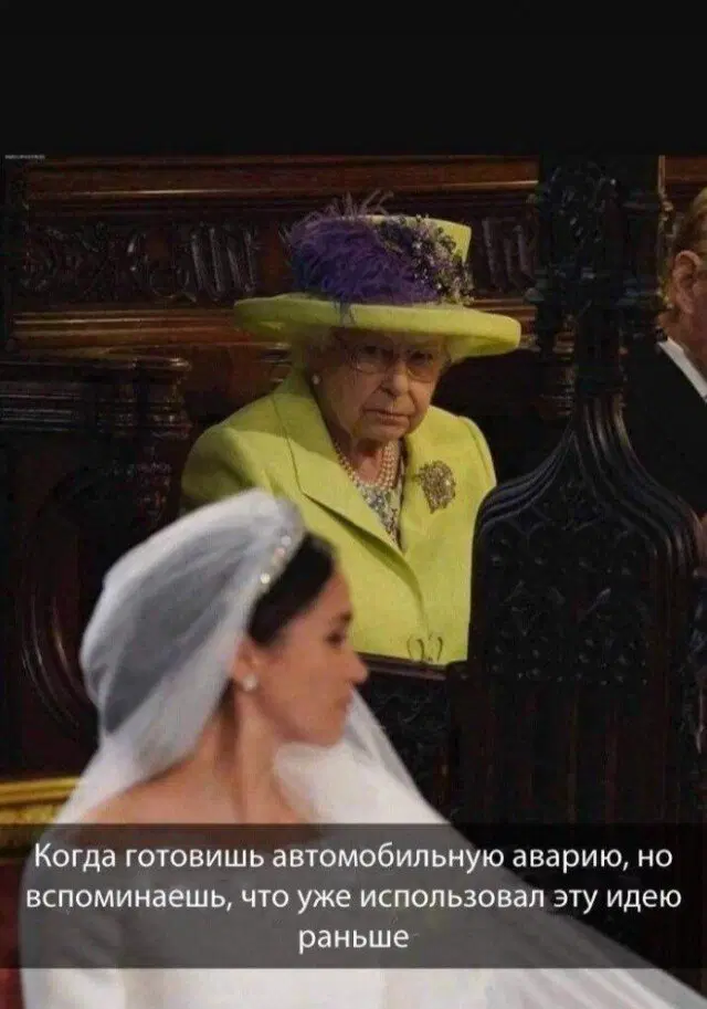 Дичка диченька дичуля