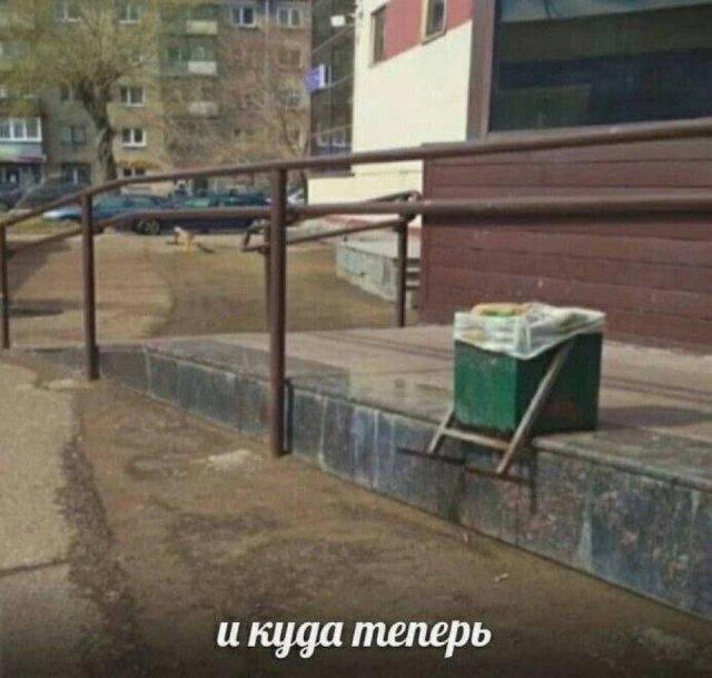 Дичка диченька дичуля