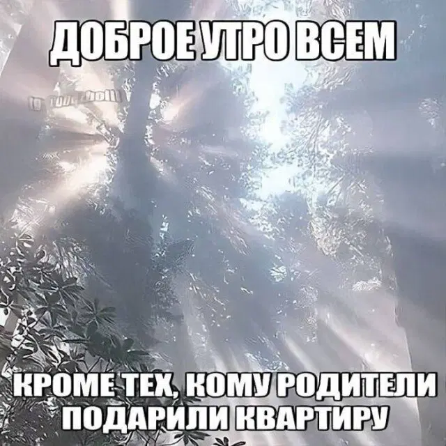 Дичка диченька дичуля