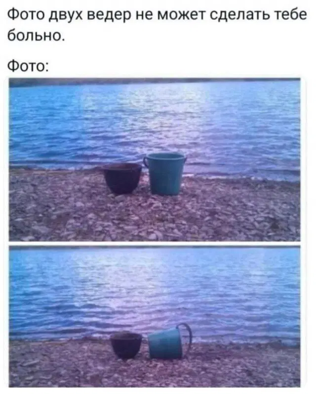 Дичка диченька дичуля