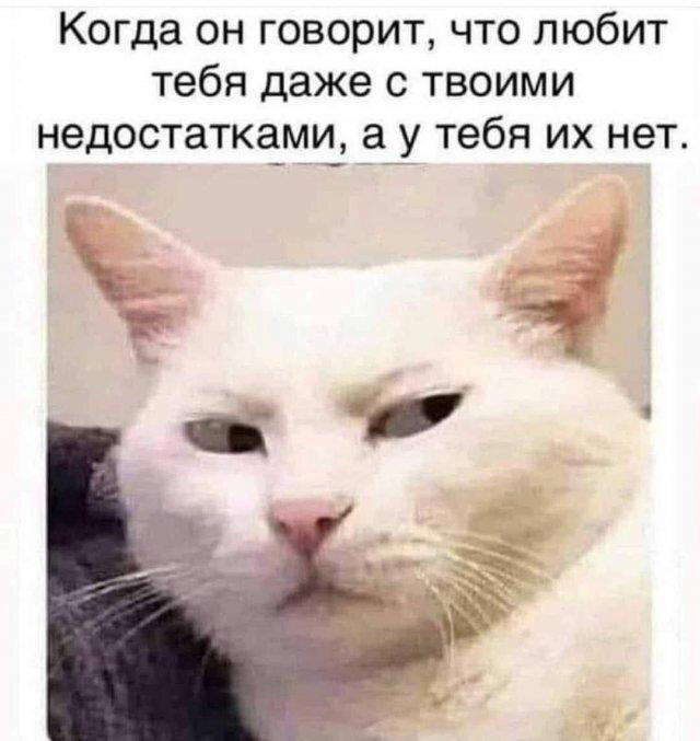 Дичко дичное
