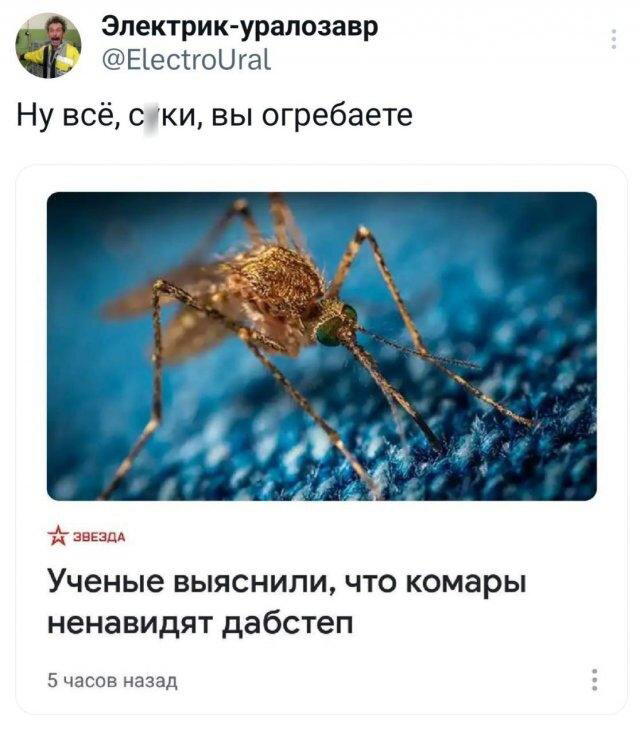 Дичко дичное