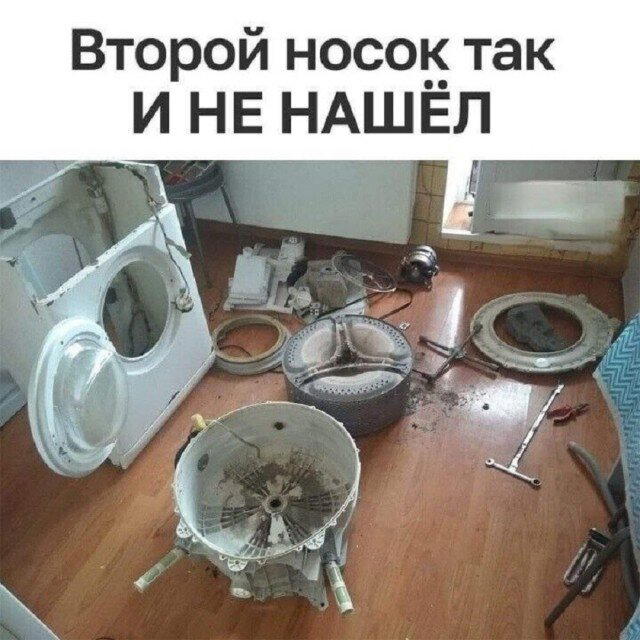 Дичко дичное