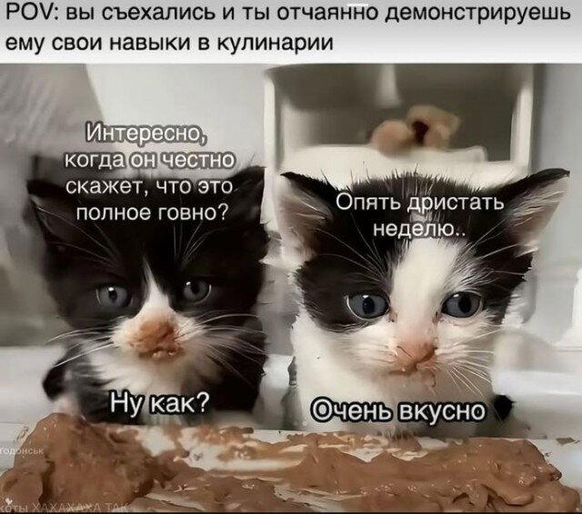 Дичька средовая спелая тепловая