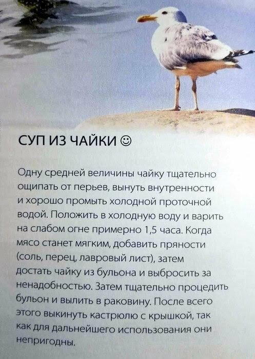 Дичька средовая спелая тепловая