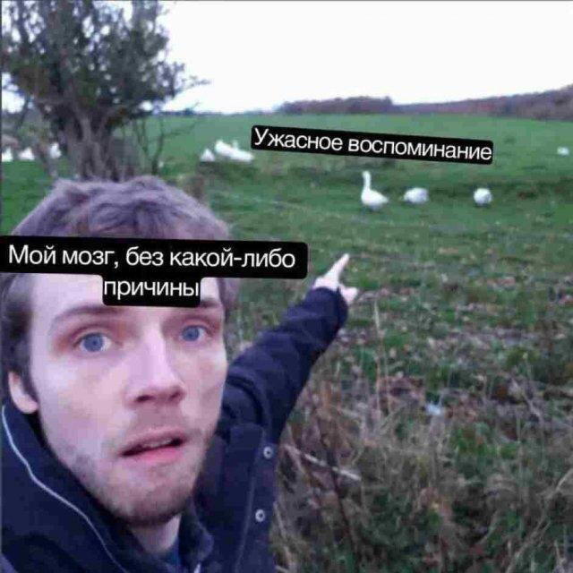 Дичька средовая спелая тепловая