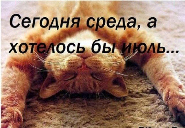 Дичька средовая спелая тепловая