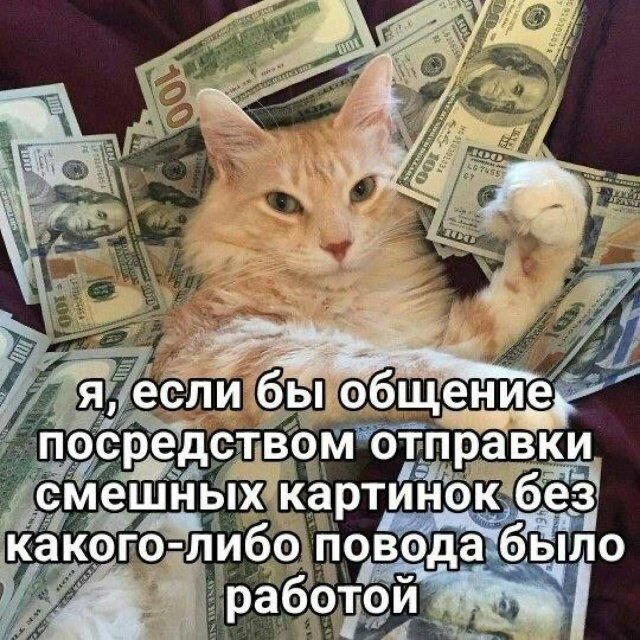 Дичька средовая спелая тепловая