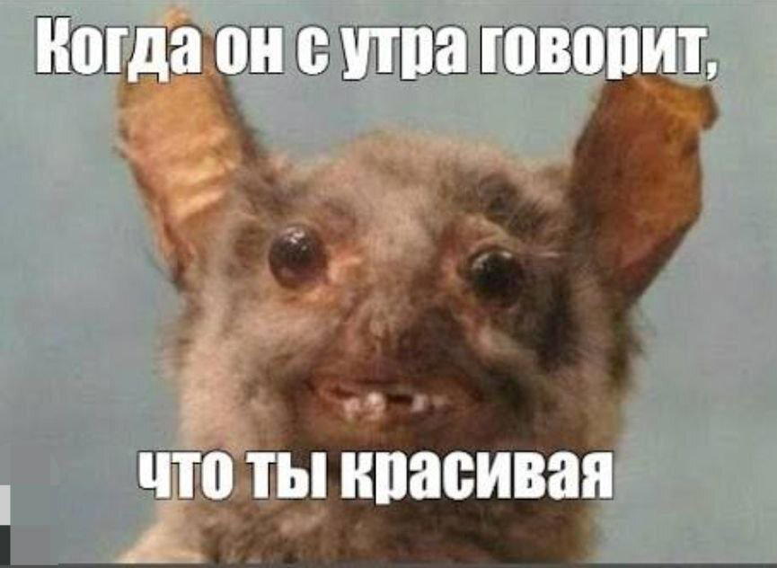 Дичка, дичковатая