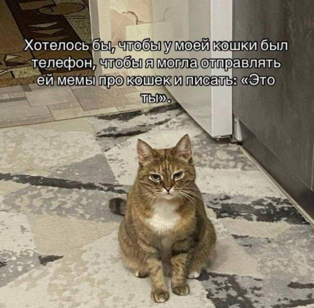 Дичка, дичковатая