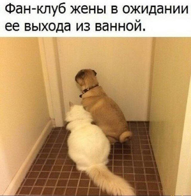 Дичка, дичковатая