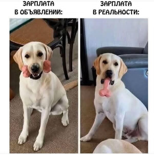 Дичка, дичковатая