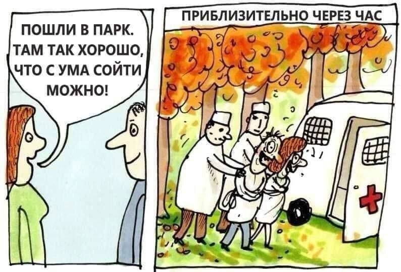 Дичка воскресная осенняя