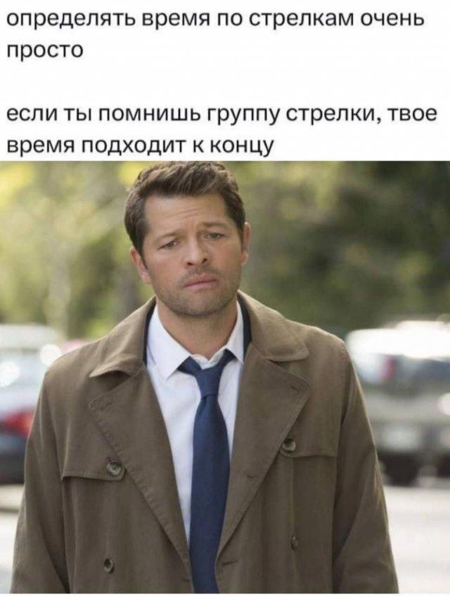 Дичка воскресная осенняя