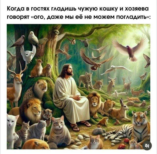 Дичка воскресная осенняя