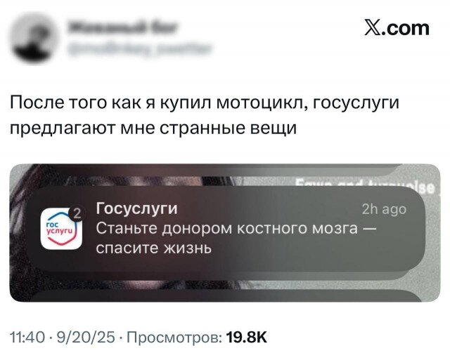 Дичка воскресная осенняя