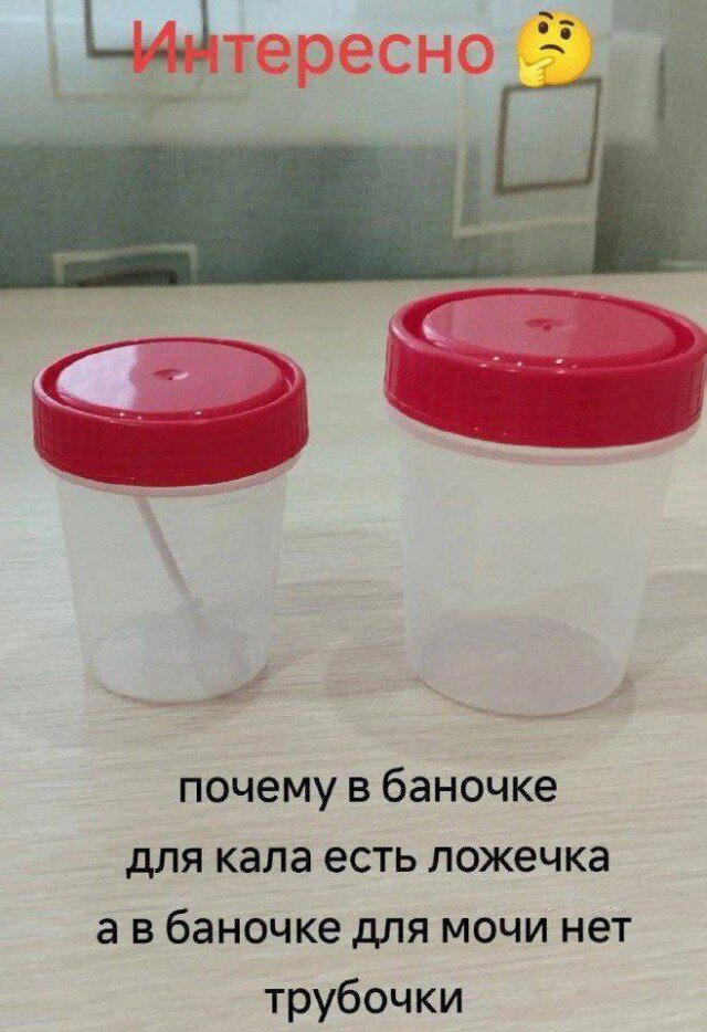 Дичка воскресная осенняя