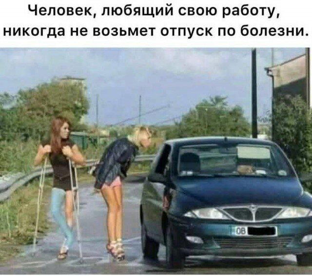 Дичка воскресная осенняя