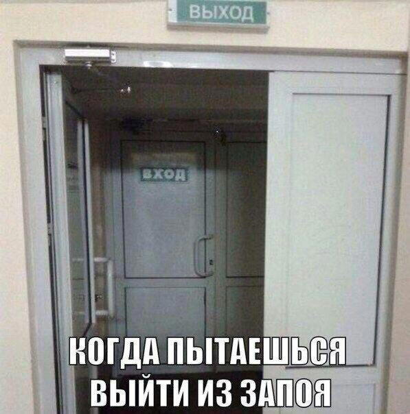 Дичка воскресная осенняя