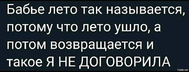 Дичка воскресная осенняя