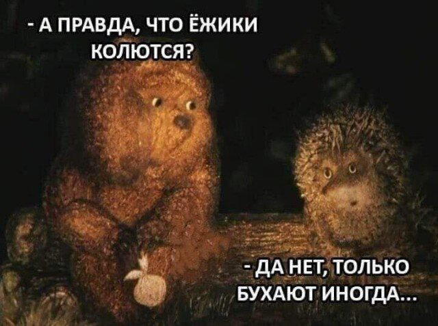 Дичка воскресная осенняя