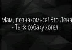 Дичка воскресная осенняя