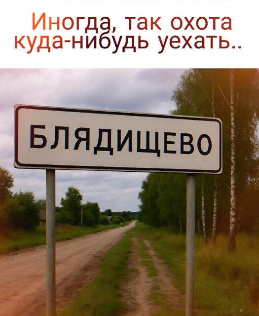 Дичка воскресная осенняя