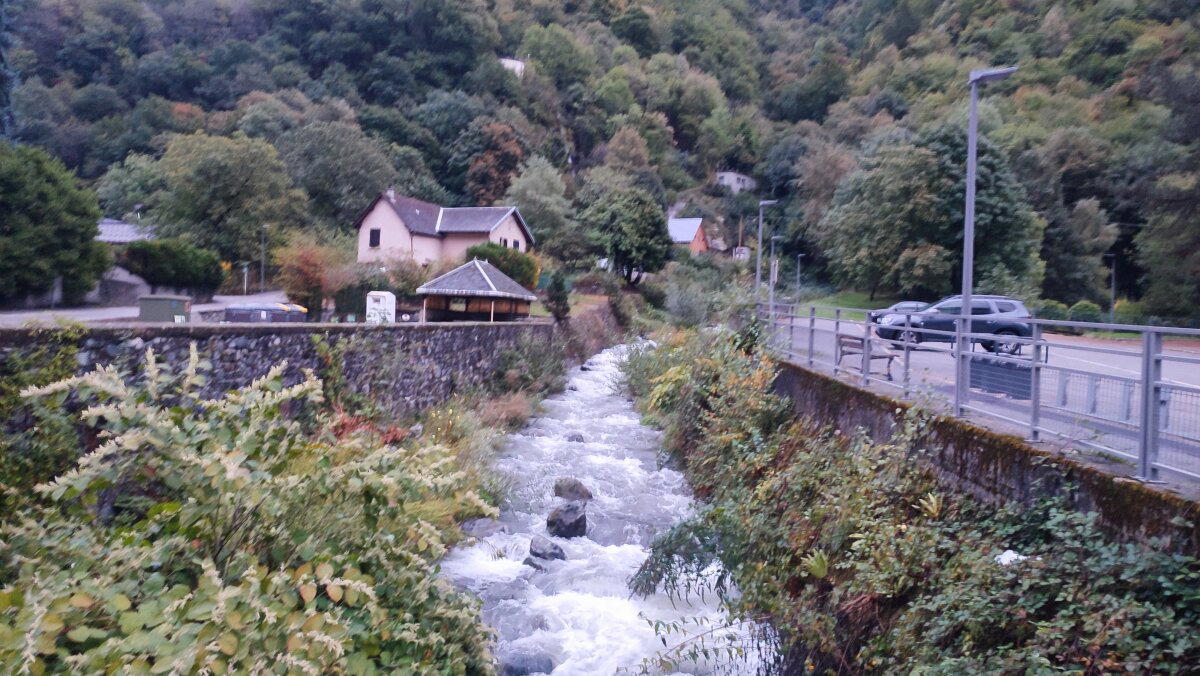 Глухомань альпийская.