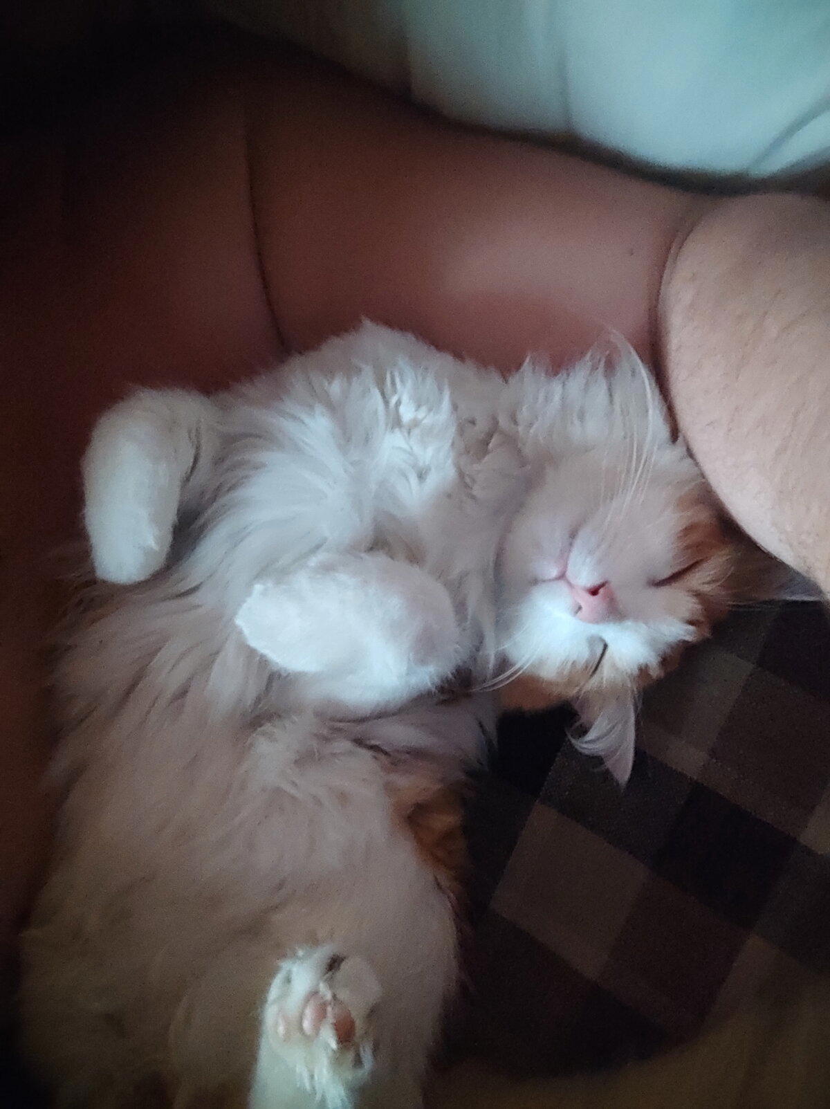 У-удобно