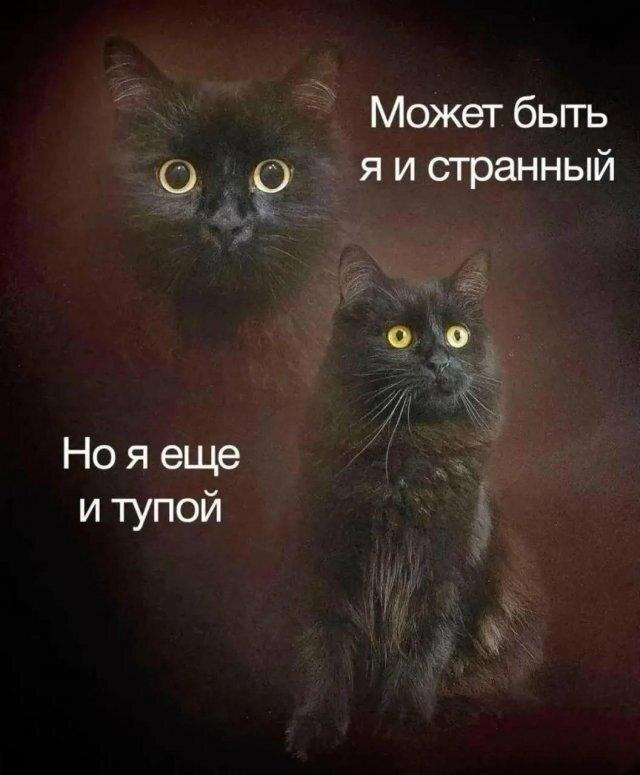 Дичка депрессивная