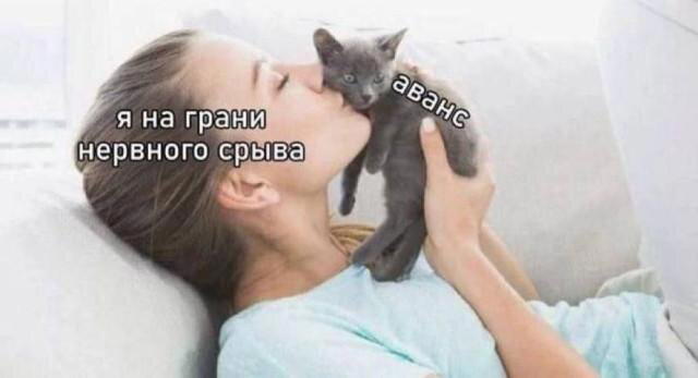 Дичка депрессивная