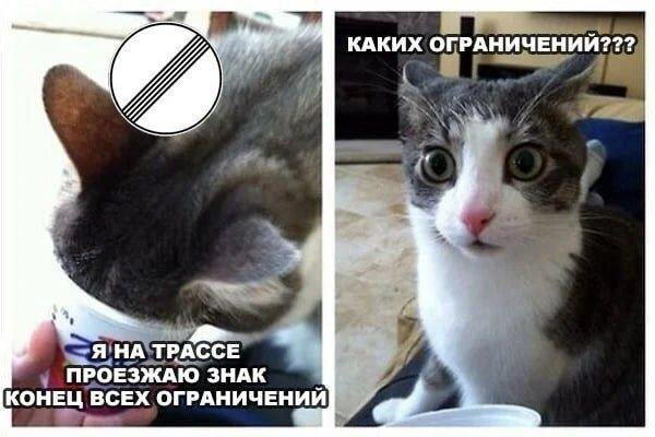 Дичка депрессивная