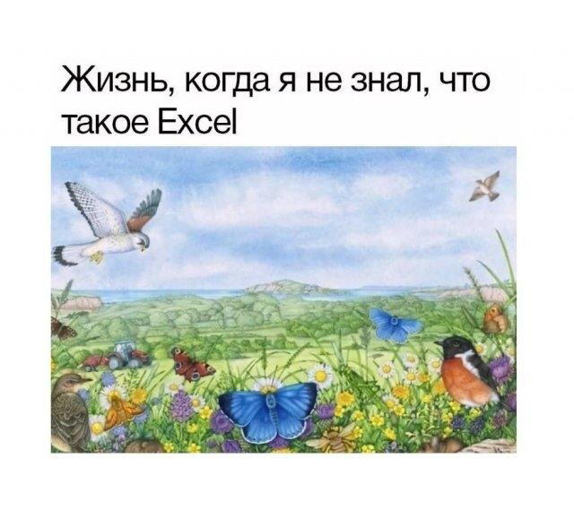 Дичка депрессивная